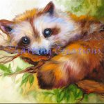 Raccoon Eyes (image for) Raccoon Eyes